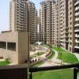Residential Apartment 4 bhk  Rent Sector 72 Gurgaon